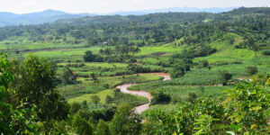 Ecotourism Africa Ishasha River