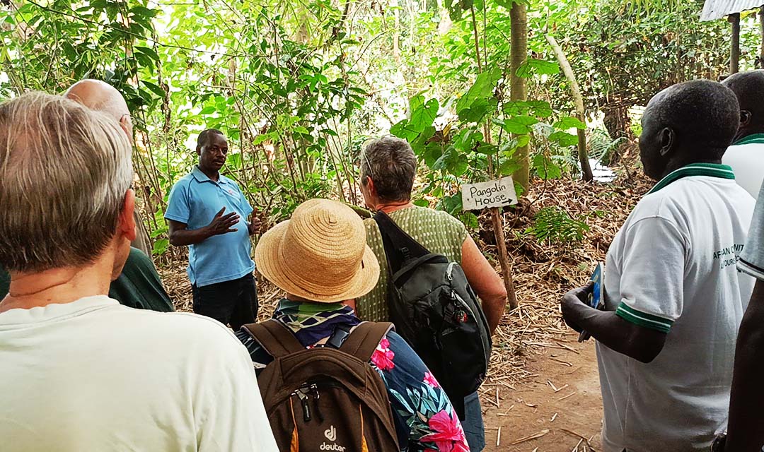 Pangolin Conservation Centre